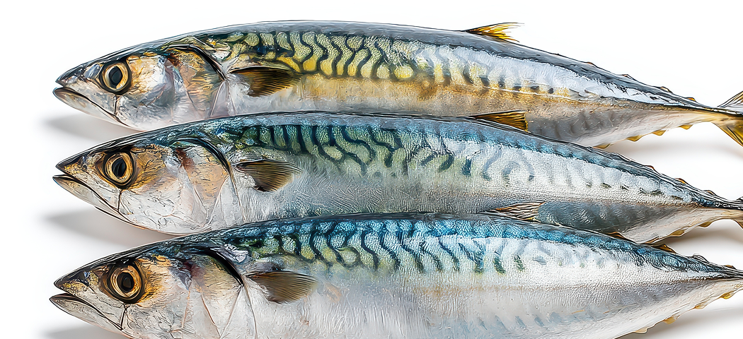 Co Enzyme Q10 Background