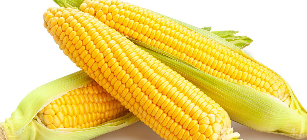 Zeaxanthin Background