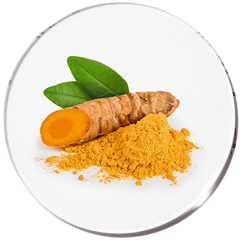 Turmeric Extract Image