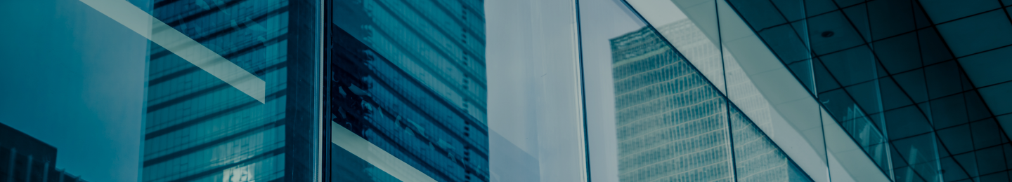 Product Description Banner